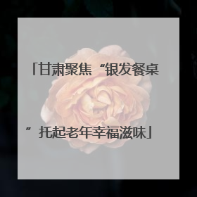 甘肃聚焦“银发餐桌”托起老年幸福滋味