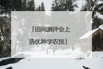田间测评会上选优种学农技
