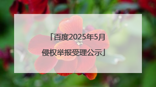 百度2025年5月侵权举报受理公示