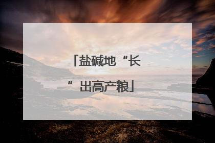 盐碱地“长”出高产粮