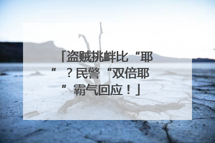 盗贼挑衅比“耶”？民警“双倍耶”霸气回应！