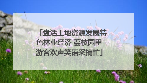 盘活土地资源发展特色林业经济 荔枝园里游客欢声笑语采摘忙