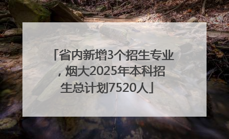 省内新增3个招生专业，烟大2025年本科招生总计划7520人