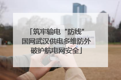 筑牢输电“防线” 国网武汉供电多维防外破护航电网安全