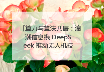 算力与算法共振：浪潮信息携 DeepSeek 推动无人机技术在舟山落地