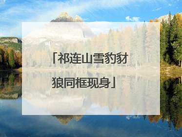 祁连山雪豹豺狼同框现身
