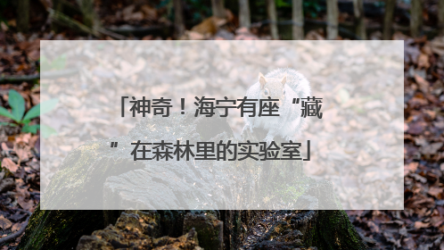 神奇！海宁有座“藏”在森林里的实验室