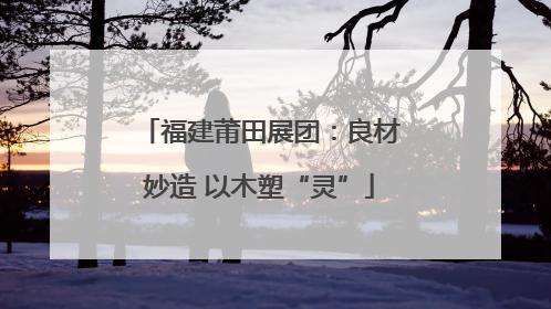 福建莆田展团：良材妙造 以木塑“灵”