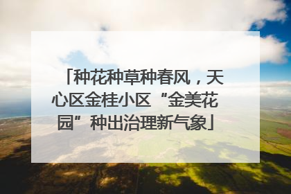 种花种草种春风，天心区金桂小区“金美花园”种出治理新气象