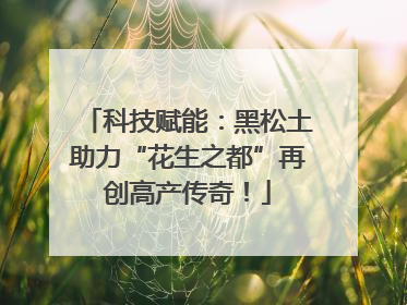 科技赋能：黑松土助力“花生之都”再创高产传奇！