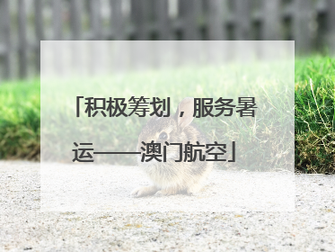 积极筹划，服务暑运——澳门航空