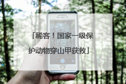 稀客！国家一级保护动物穿山甲获救