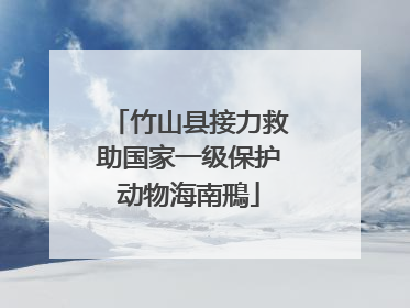竹山县接力救助国家一级保护动物海南鳽