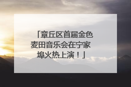 章丘区首届金色麦田音乐会在宁家埠火热上演！