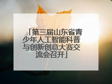 第三届山东省青少年人工智能科普与创新创意大赛交流会召开