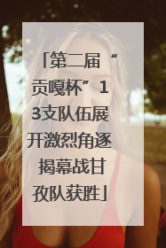 第二届“贡嘎杯”13支队伍展开激烈角逐 揭幕战甘孜队获胜