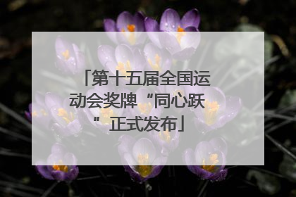 第十五届全国运动会奖牌“同心跃”正式发布