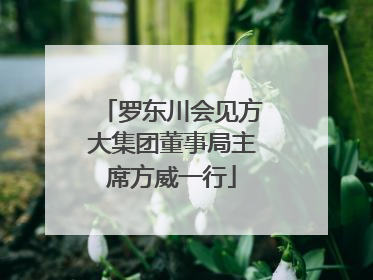 罗东川会见方大集团董事局主席方威一行