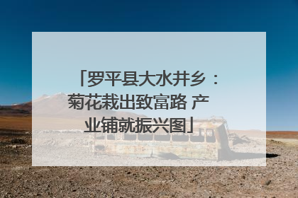 罗平县大水井乡：菊花栽出致富路 产业铺就振兴图