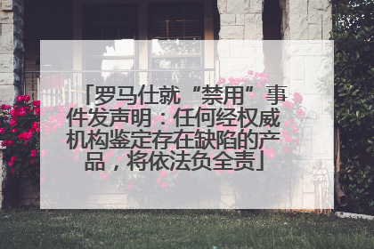 罗马仕就“禁用”事件发声明：任何经权威机构鉴定存在缺陷的产品，将依法负全责