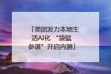美团发力本地生活AI化 “袋鼠参谋”开启内测