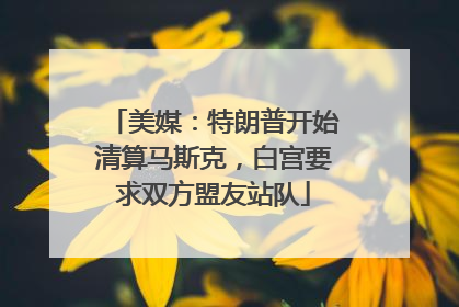 美媒：特朗普开始清算马斯克，白宫要求双方盟友站队