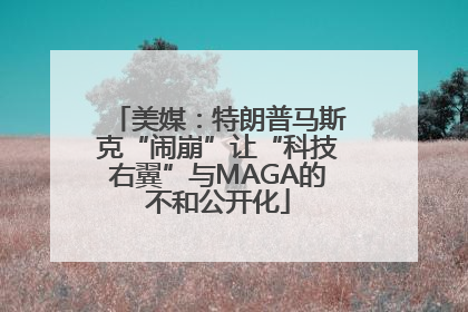 美媒：特朗普马斯克“闹崩”让“科技右翼”与MAGA的不和公开化
