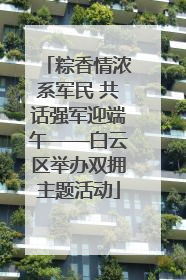 粽香情浓系军民 共话强军迎端午——白云区举办双拥主题活动