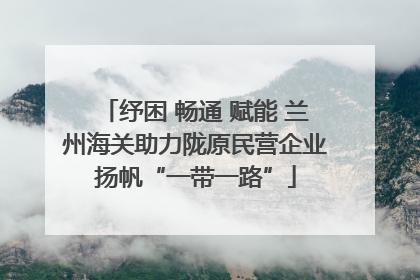 纾困 畅通 赋能 兰州海关助力陇原民营企业扬帆“一带一路”