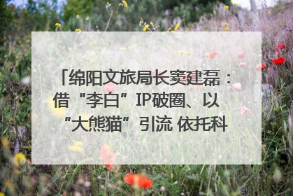 绵阳文旅局长窦建磊：借“李白”IP破圈、以“大熊猫”引流 依托科技优势绽放城市文旅魅力｜文旅局长说