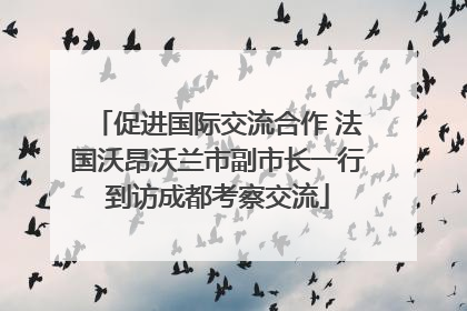 促进国际交流合作 法国沃昂沃兰市副市长一行到访成都考察交流