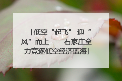 低空“起飞” 迎“风”而上——石家庄全力竞逐低空经济蓝海