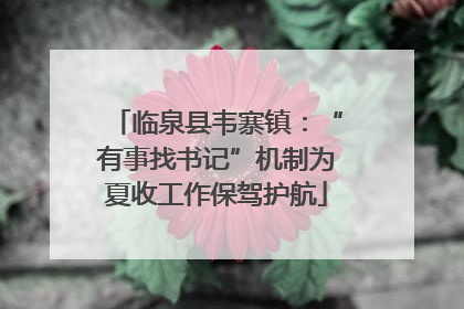 临泉县韦寨镇：“有事找书记”机制为夏收工作保驾护航