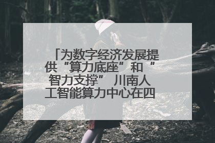 为数字经济发展提供“算力底座”和“智力支撑” 川南人工智能算力中心在四川泸州启动