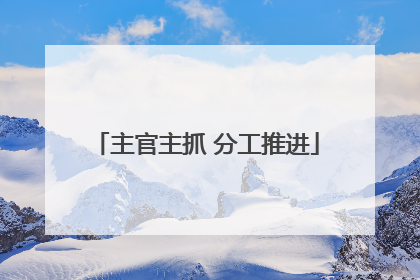 主官主抓 分工推进