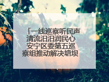 一线巡察听民声 清流汨汨润民心 安宁区委第五巡察组推动解决塘坝通水难题