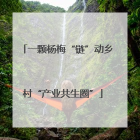 一颗杨梅“链”动乡村“产业共生圈”