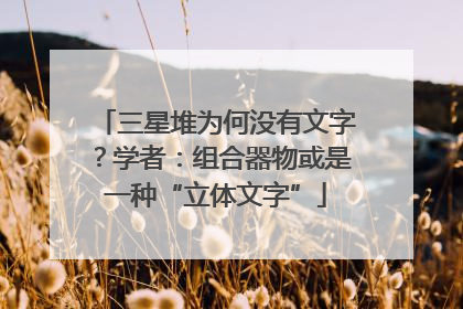 三星堆为何没有文字？学者：组合器物或是一种“立体文字”