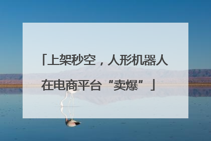 上架秒空，人形机器人在电商平台“卖爆”