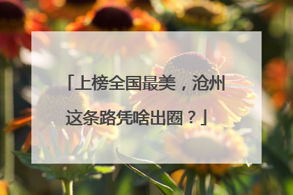 上榜全国最美，沧州这条路凭啥出圈？