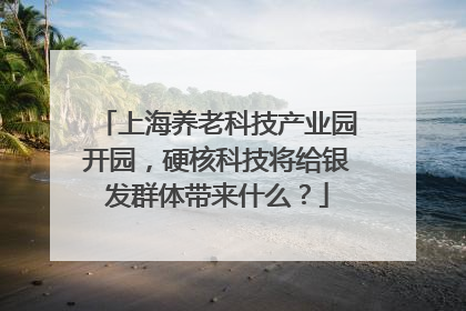 上海养老科技产业园开园，硬核科技将给银发群体带来什么？