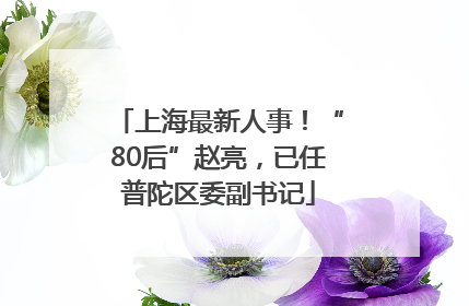 上海最新人事！“80后”赵亮，已任普陀区委副书记