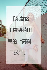 东营区：千亩薄荷田里的“高科技”
