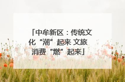 中牟新区：传统文化“潮”起来 文旅消费“燃”起来