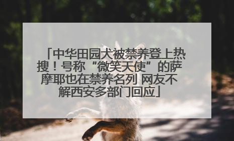 中华田园犬被禁养登上热搜！号称“微笑天使”的萨摩耶也在禁养名列 网友不解西安多部门回应