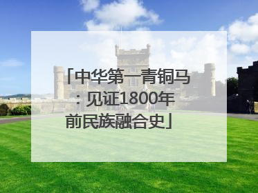 中华第一青铜马：见证1800年前民族融合史