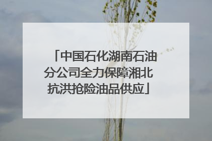 中国石化湖南石油分公司全力保障湘北抗洪抢险油品供应