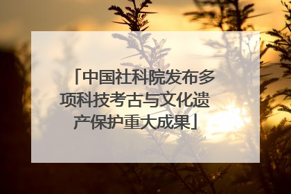 中国社科院发布多项科技考古与文化遗产保护重大成果