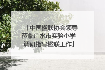 中国楹联协会领导莅临广水市实验小学调研指导楹联工作