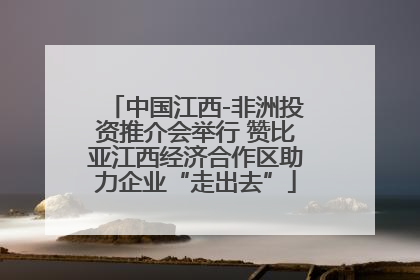 中国江西-非洲投资推介会举行 赞比亚江西经济合作区助力企业“走出去”